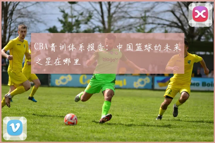 CBA青训体系报告:中国篮球的未来之星在哪里