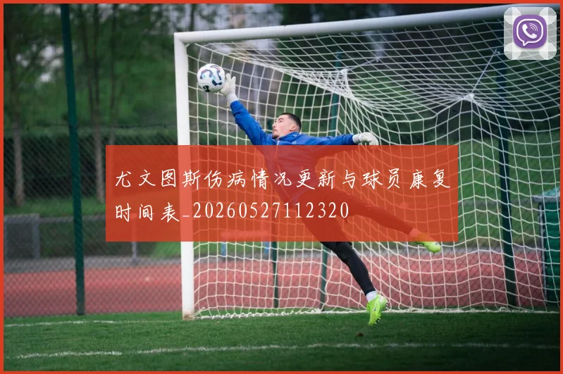 尤文图斯伤病情况更新与球员康复时间表_20260527112320